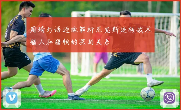 周琦妙语连珠解析尼克斯逆转战术猎人和猎物的深刻关系